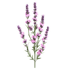 Naklejka premium Lavender blossoms vibrant hues digital art tranquil beauty