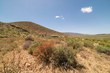 Aguereberry Camp in Death Valley National Park