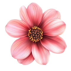 Delicate Pink Dahlia Blossom Soft Petals Gentle Beauty