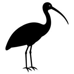 ibis bird black silhouette vector, Simple silhouette Design vector icon with white background. Wild bird