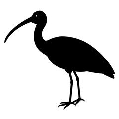 Obraz premium ibis bird black silhouette vector, Simple silhouette Design vector icon with white background. Wild bird