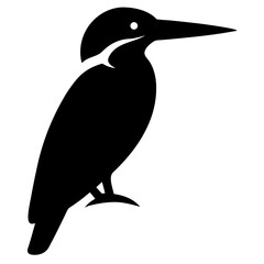 kingfisher bird black silhouette vector, Simple silhouette Design vector icon with white background. Wild bird