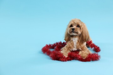 Cute dog with shiny tinsel on light blue background. Space for text