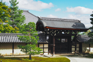 Traditional Japanese garden 
