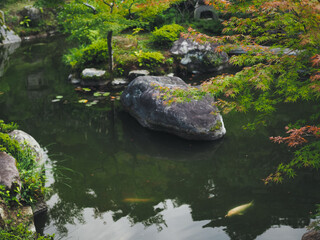 Traditional Japanese garden 