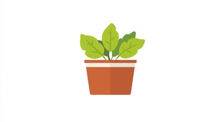 Potted Plant with Green Leaves in a Terracotta Pot for Home Decor and Botanical Illustrations