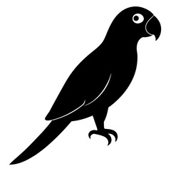 Fototapeta premium macaw bird black silhouette vector, Simple silhouette Design vector icon with white background. Wild bird
