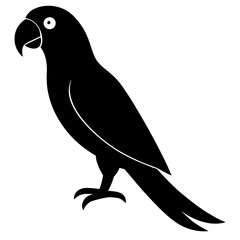 macaw bird black silhouette vector, Simple silhouette Design vector icon with white background. Wild bird