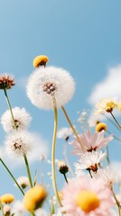 Obraz premium White dandelion and wildflowers against a clear blue sky