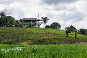 River boat trip at Parana do Mamori in the Amazon rainforest about 100 km south of Manaus in Brazil