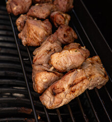 shashlik  on the grill