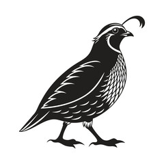 Quail Bird Illustration - Black and White Vector Art for Wildlife Designs