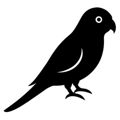 parakeet bird black silhouette vector, Simple silhouette Design vector icon with white background. Wild bird