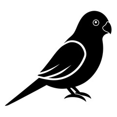 parakeet bird black silhouette vector, Simple silhouette Design vector icon with white background. Wild bird
