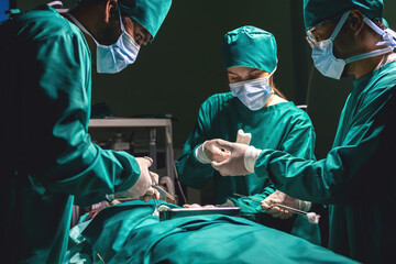 surgeon team using procedure cleaning wound after operating with instruments. surgical group using...