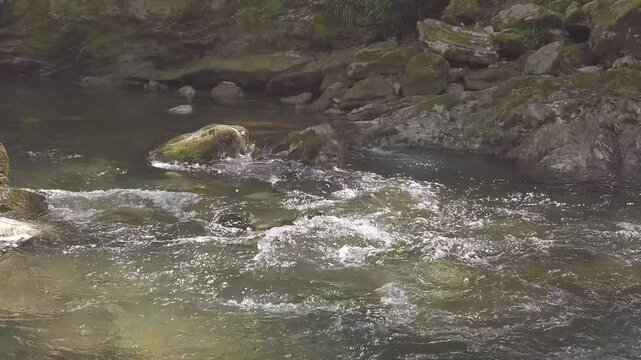 Slow Motion of a Rapid in the Sella River, Asturias, Northern Spain - 807
