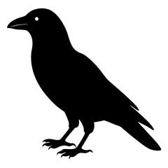 raven bird black silhouette vector, Simple silhouette Design vector icon with white background. Wild bird