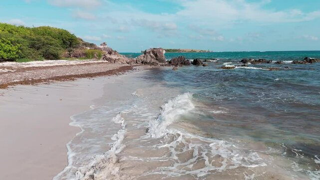 Vagues sur une plage sauvage avec des algues sargasses