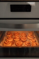 Bandeja de Cinnamon Rolls en el horno. Hornear Rolls de canela. Receta postre. 