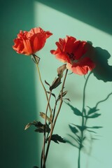 Obraz premium Two vertical striking red flowers on stems creating elegant shadows against a vibrant green background. Generated AI
