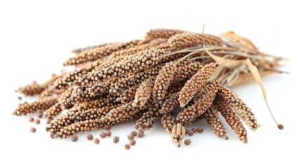 Closeup of Foxtail Millet Seeds