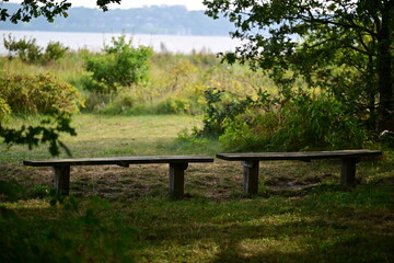 Serene Outdoor Benches by the Lake