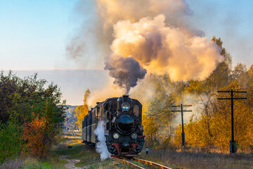 Narrow-gauge locomotive with a passenger train rushes to the railway station. Autumn sunny day