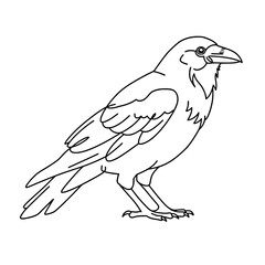 Obraz premium Minimalist Crow Line Art | Black and White Vector Bird Illustration
