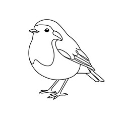Obraz premium Cute Robin Bird Line Art Vector | Black and White Coloring Page