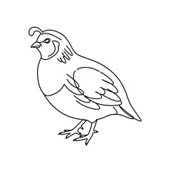 Obraz premium Thanksgiving Turkey Line Art Vector | Black White Coloring Page