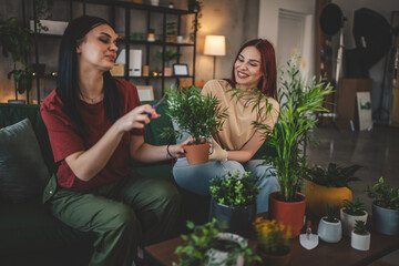 two women friends sisters plant flowers together take care of plants