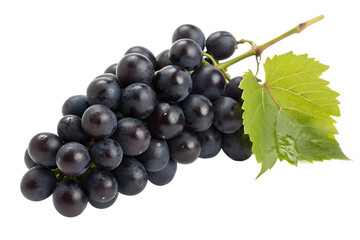 Fototapeta premium bunch of black grapes on transparent background