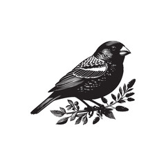 Black Color Finch Silhouette Vector Illustration, Solid White Background