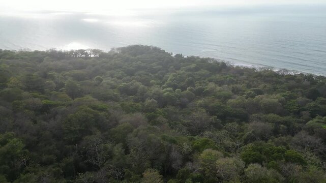 Playa del Mar Caribe con bosque seco tropical paisaje mar azul