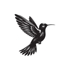 Obraz premium Black Color Hummingbird Silhouette Vector Illustration, Solid White Background