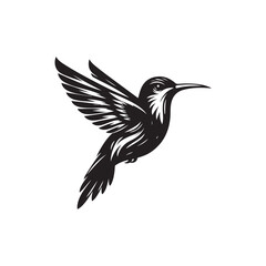 Fototapeta premium Black Color Hummingbird Silhouette Vector Illustration, Solid White Background