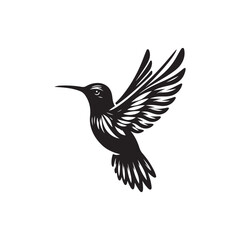 Black Color Hummingbird Silhouette Vector Illustration, Solid White Background