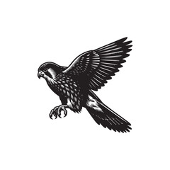 Fototapeta premium Black Color Kestrel Silhouette Vector Illustration, Solid White Background