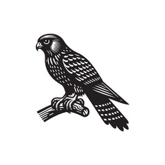 Black Color Kestrel Silhouette Vector Illustration, Solid White Background