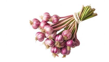 a bunch of fresh vibrant garlic bulbs with purple skins tied together showcasing their natural beauty and culinary significance ideal for cooking and flavoring dishes