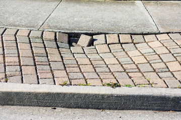 Uneven brick pavement with displaced bricks, adjacent to a concrete sidewalk, surrounded by small patches of grass and weeds
