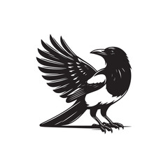 Black Color Magpie Silhouette Vector Illustration, Solid White Background
