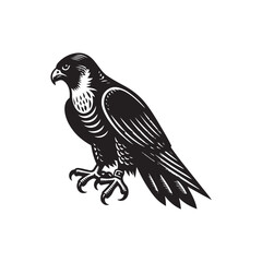 Black Color Peregrine Falcon Silhouette Vector Illustration, Solid White Background