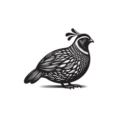 Black Color Quail Silhouette Vector Illustration, Solid White Background