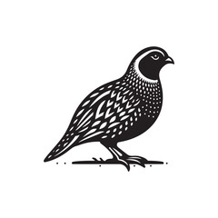 Obraz premium Black Color Quail Silhouette Vector Illustration, Solid White Background