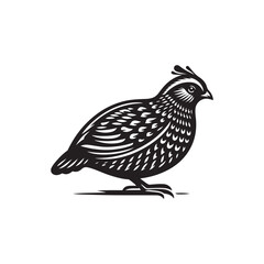Black Color Quail Silhouette Vector Illustration, Solid White Background