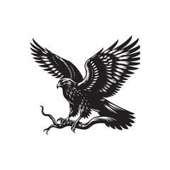 Black Color Red-tailed Hawk Silhouette Vector Illustration, Solid White Background