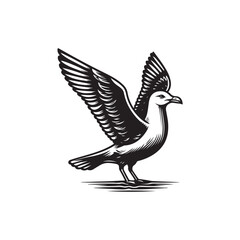 Black Color Seagull Silhouette Vector Illustration, Solid White Background