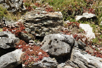 ARTOUSTE LARUNS. PIRINEO FRANCES. EUROPA. 