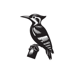 A vector illustration of a Woodpecker, perfect for wildlife designs, nature projects, and bird illustrations. Ideal for educational materials and creative work showcasing this unique bird species.